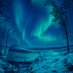 Forgotten boat