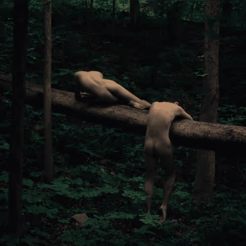 Item #78290495778488024413402900412975028234166831643233263215137554371465522970625 Media