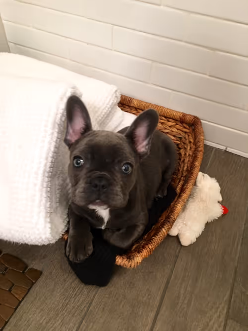 Item #99031261785432219130552668818269695456905868997165113515571762302758556794881 Media