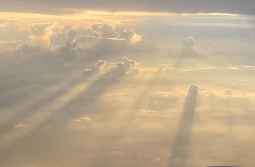 Untitled Collection #41662238