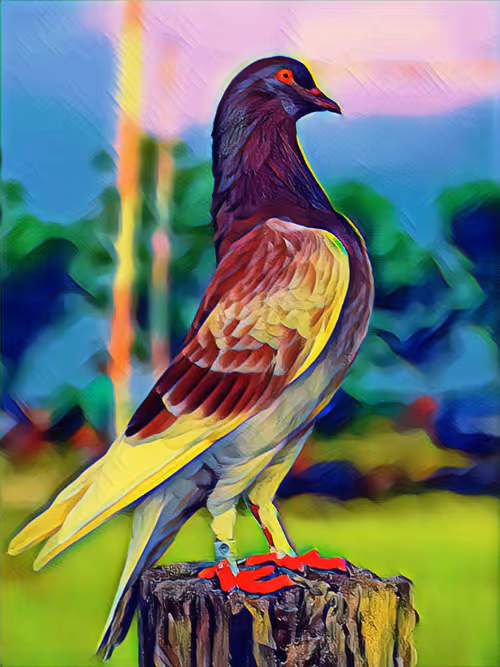 Item #10094219962135783735053489214764519107745543906553609880987490853888060293121 Media