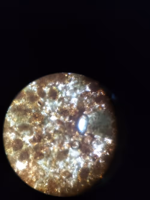 Item #12499860690887257293727532681291822536045842218714555575181684138477254344705 Media