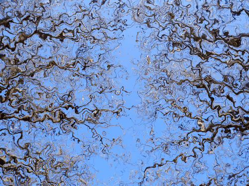 Item #46528492104911766523206940257032911042304288877431950015920669904582331072513 Media