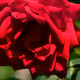 91353678095884272501201113502167579369136669873548504539679872022360384077825