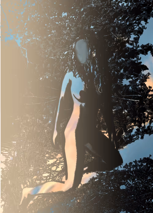 Item #68858806205777467087620144201420715165238722645770438444931762789411314466817 Media