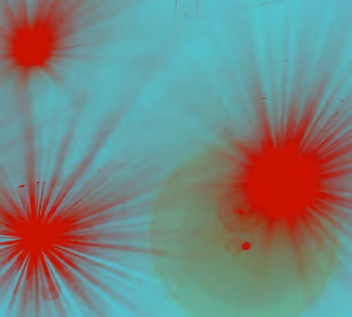 Item #93069343981702228270055699563951248468086753734055919073782745780294026002440 Media