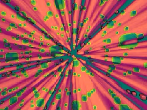 Item #36646306536746230901990345122529070260663114119276003458655038312601484263429 Media