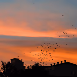 75177011641326788966498946899827704018506262245864172669652827801518944026625