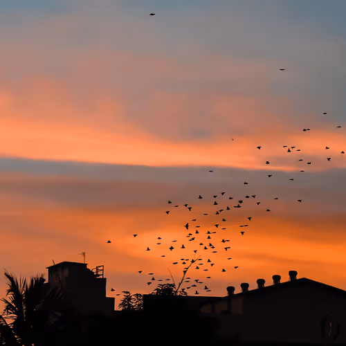 75177011641326788966498946899827704018506262245864172669652827801518944026625