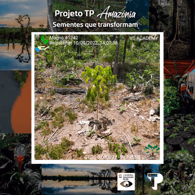 Item #8500196597889277390194123329501889087166328879864934763448348961155267428353 Media