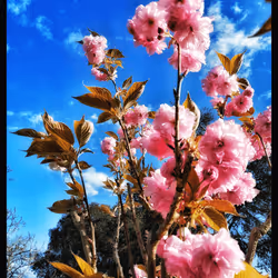 3787080761074609709675817509753112159059746763483256848434353777698733555713