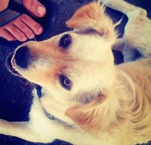 Item #71822260955945982249385718150451712867316488213100292160367074190347552686081 Media