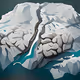 Frozen Tundra Brain [0065]