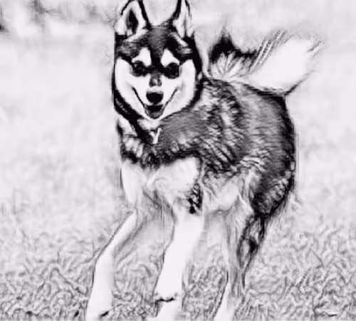 Item #23143313246472061328071561115701105421589606567298838424350448122549290139649 Media