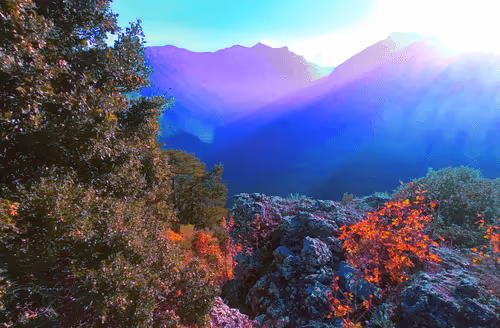 Item #229903202399770629281150266274287852530355796343641318577665275252311064696 Media