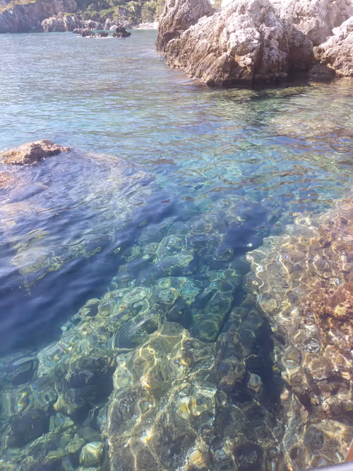 Item #56287055780979128950245095664156082691230445151418642547794192045312929955841 Media