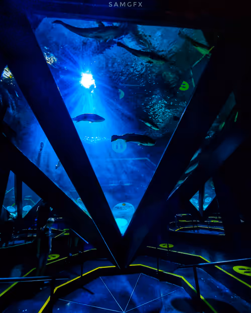 Item #95324726895182495996290546478047761567301355327347693853112767894380724879370 Media