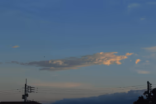 Item #46203775422947331303503035682945161977556730283234746633468375132968610430977 Media