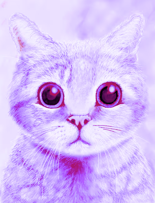 Item #56621992303262747893271366005093707345711101762340673219461019442085317574657 Media