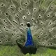 111042727410515522054394481272435057058359920868895293142647751275031287562241