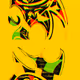 17671220891490678957840502925373856436450732293220030521085178583382323363841