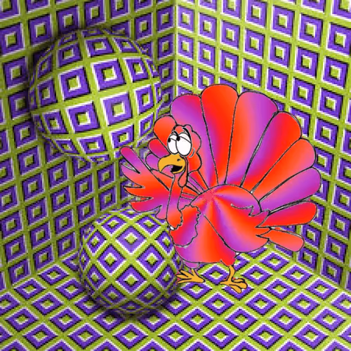 Item #42110705805158500094163588696734144554429305137811752387231807014812589752321 Media