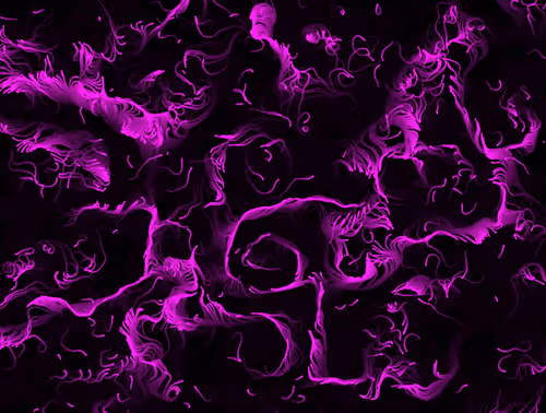 Item #18188641774722569462862161612624599961987570964687117327932822794895219490817 Media