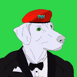48668930932293412989161743222089303844917080973398542581303765493987481223169