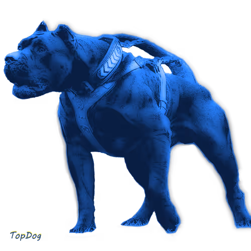 Item #36391424052732399087227214687131846955298181030742443093081293123076701028353 Media