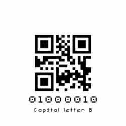 19881277009559011557562946224838286757794806641880668628789081742449412407297
