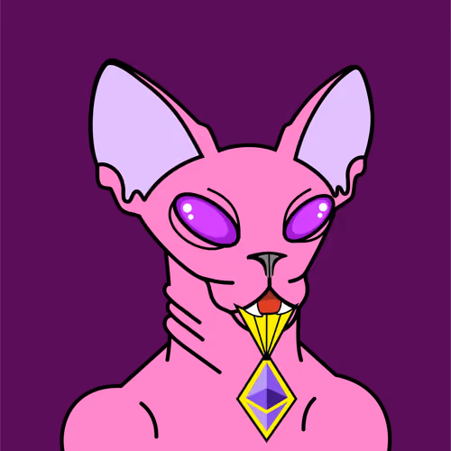 Crypto Sphinx Cat #9
