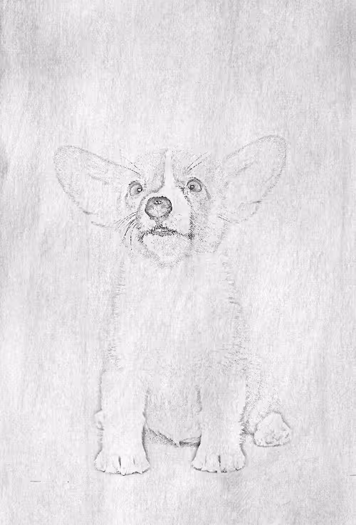 Item #104571871624713793639651805658793486494192065920849225127728493729900952289281 Media