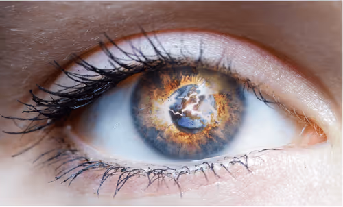 Item #30811687512936222812019848403034405815103538908942015009062010338362144063489 Media