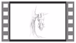 Item #24600310660482288606297797528155087939323639147399647196853483680922702184458 Media