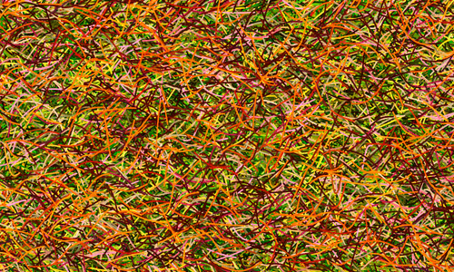 Item #37671797252818830032645010018488858802778721291022166209366081465259674042369 Media