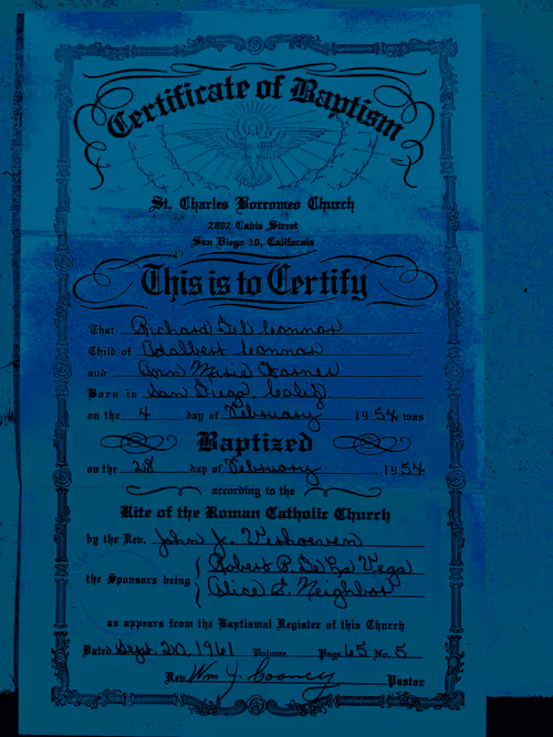 Item #12487784663316112872991520985674897236448498557666379661479517230678547629032 Media