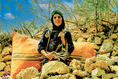 Item #2468119463308914702005443652102614178506533567319377457804556997673896378369 Media