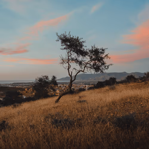 Sense of peace