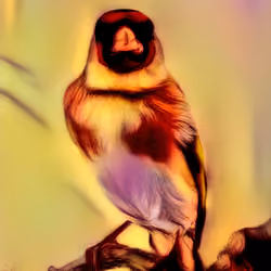 مقنين 1
