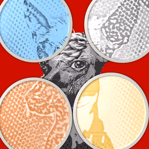 Item #98566320932109120955286723892540474174714252755270143490199448271235919642724 Media