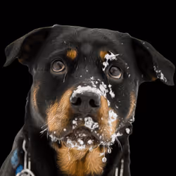 20263366600750275083551787550457323161745504762773807667868667819516365898728