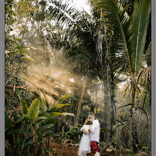 Item #44841669653503183183451948352729976287069847475674991683319661676690115919874 Media