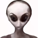 78659460725135531583023670119258347490912039647015248883718852247192262934529