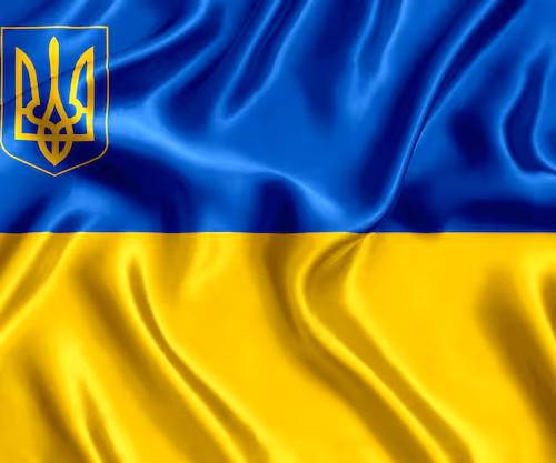 Untitled Collection #194529125