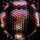 53159743641283225921249958871903774754494475250154680940309478442115849519105