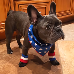 99031261785432219130552668818269695456905868997165113515571762398416068411393