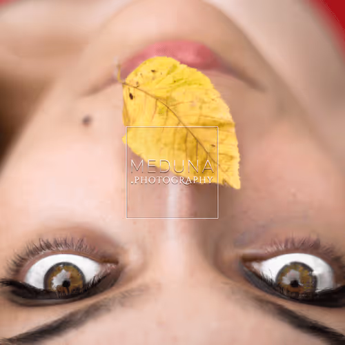 Item #112381046722962836592974674419935165827730707126809541689433939900909825818634 Media