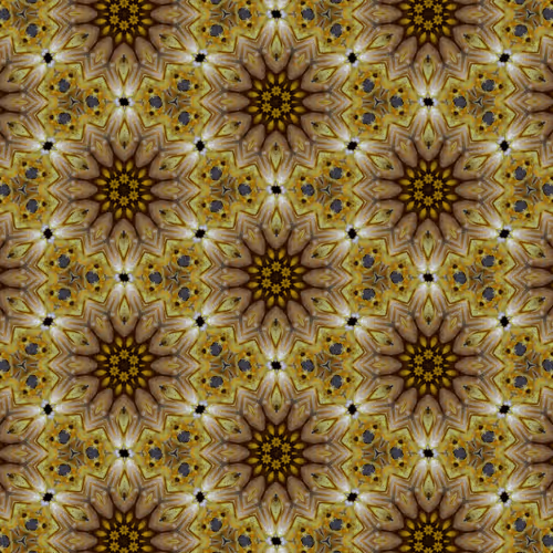 Item #56574662259603682151245989215512264543106181545014608248201408230708381483009 Media