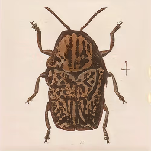 Item #58241160855422744817468407088196322100109565521561100950236904760836832100353 Media