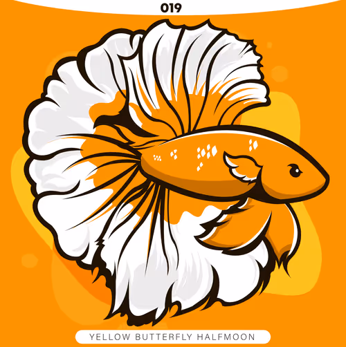 Item #71915282176282174012632358448723633474544225318645324977784202304293810733057 Media